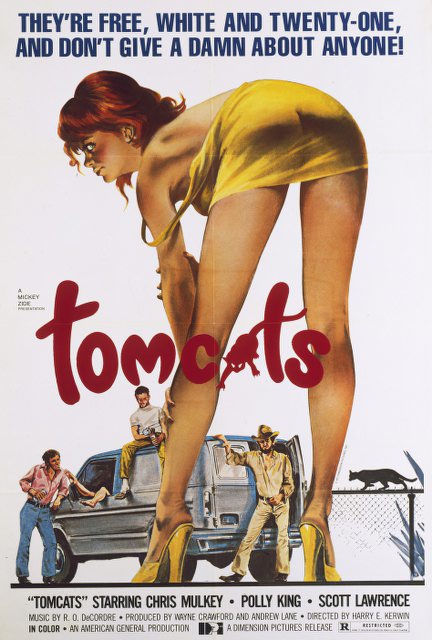 Poster for Tomcats